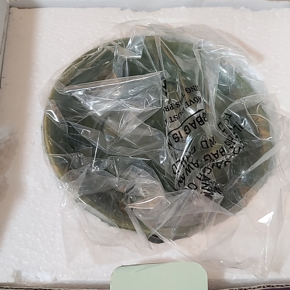 NIB Green English Ivy Full Size Scentsy wax warmer - Picture 7 of 13